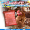 การใช้คลอรีน 65%