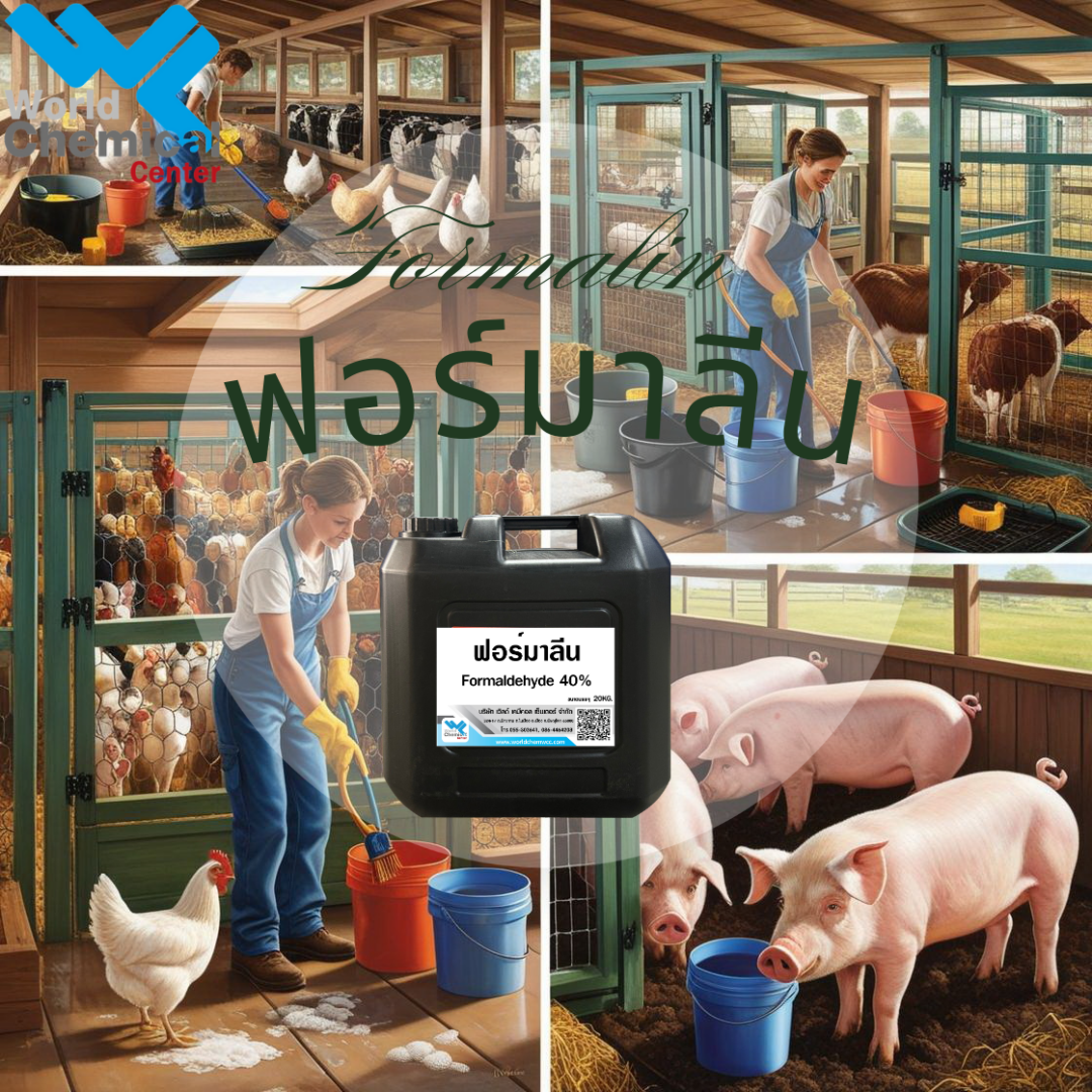 ฟอร์มาลีน (Formalin)